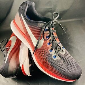 XLNT Condition Mens Nike Air Zoom Pegasus 34 11.5 US 45.5 EUR Dark Siena Crimson